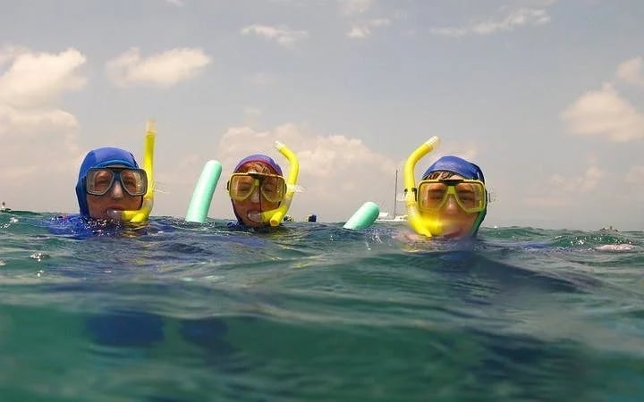 Cape Peninsula Private Tour with Guided Seal Snorkeling at Duiker Island Image 3