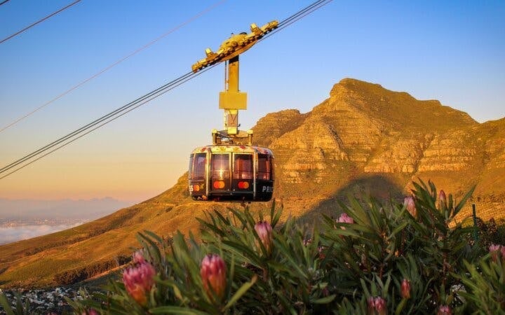 Cape Town Big 6 Pre-Booked Attraction Tickets: Robben Island, Table Mountain, Two Oceans Aquarium, Cape Wheel, Kirstenbosch Botanical Gardens, Groot Constantia Image 8
