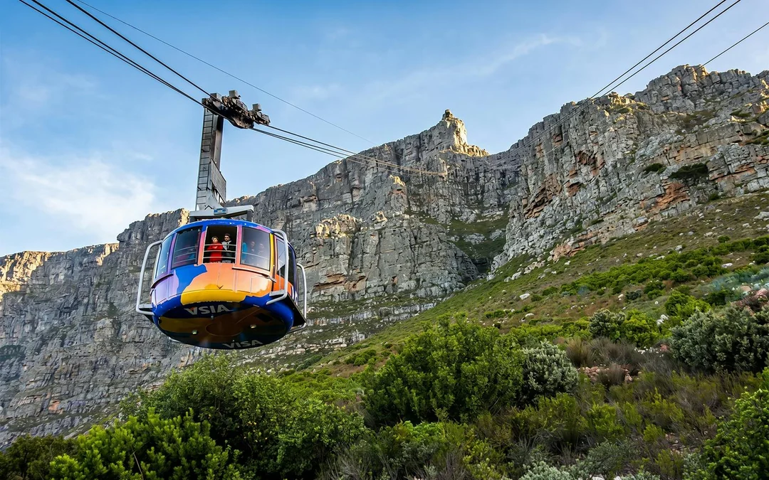 Cape Town: Half-Day City Tour with Table Mountain Cable Car Ticket and Hotel Pickup Image 7