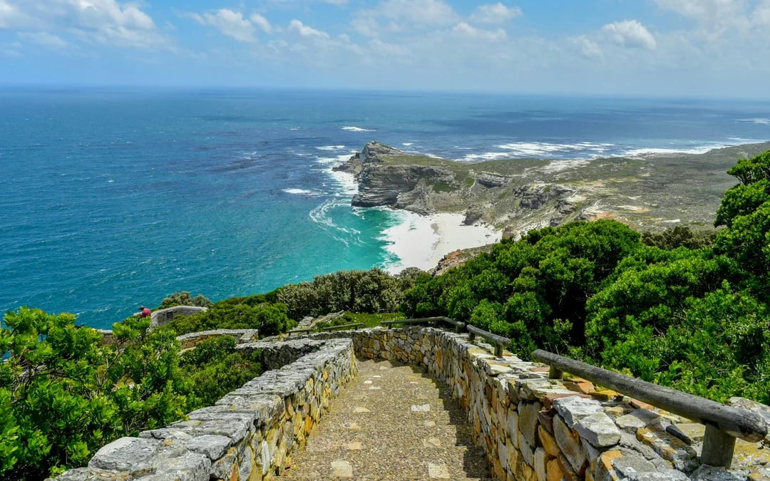 Cape Town Highlights Tour: Kirstenbosch Garden, Bo-Kaap, Penguins, and Cape Point Image 12