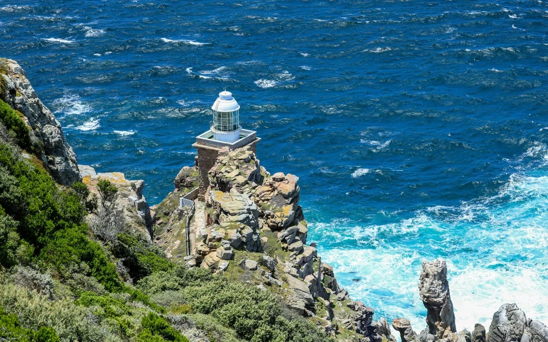 Cape Town Highlights Tour: Kirstenbosch Garden, Bo-Kaap, Penguins, and Cape Point Image 6