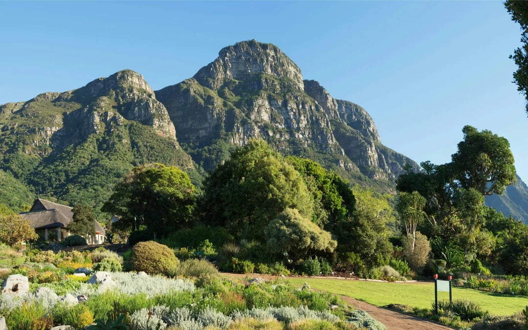 Cape Town Highlights Tour: Kirstenbosch Garden, Bo-Kaap, Penguins, and Cape Point Image 9