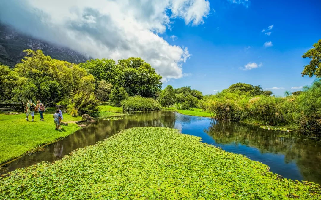 Cape Town Highlights Tour: Kirstenbosch Garden, Bo-Kaap, Penguins, and Cape Point Image 10