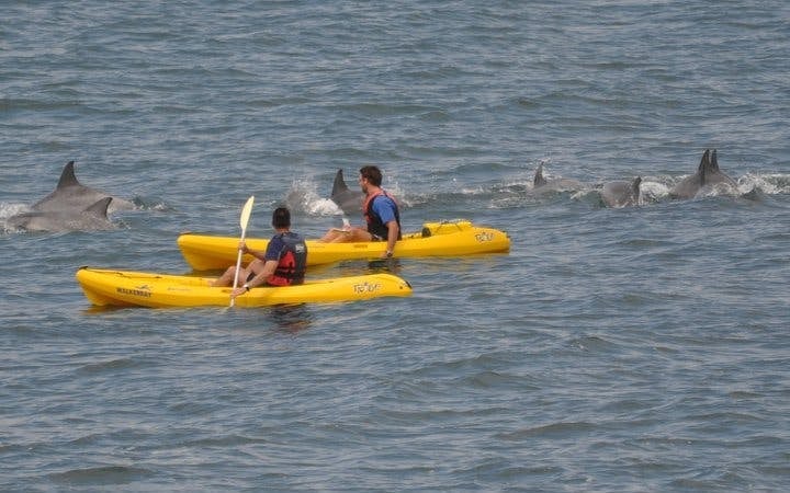 Cape Town Private Cape Peninsula and Penguin Sea Kayak Tour with Cape of Good Hope Visit Image 2