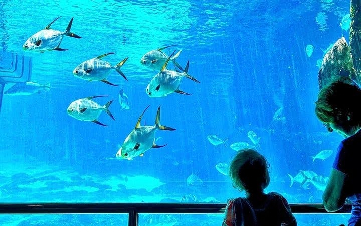 Cape Town Private Family Tour with Wine Tasting and Animal Encounters Image 5