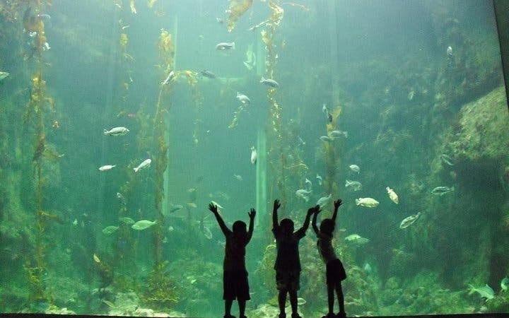 Cape Town Private Family Tour with Wine Tasting and Animal Encounters Image 6