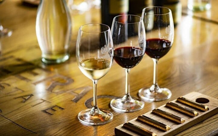 Cape Town Private Helicopter Flight to Cape of Good Hope with Stellenbosch Wine Tastings and Fine Dining Tour Image 6