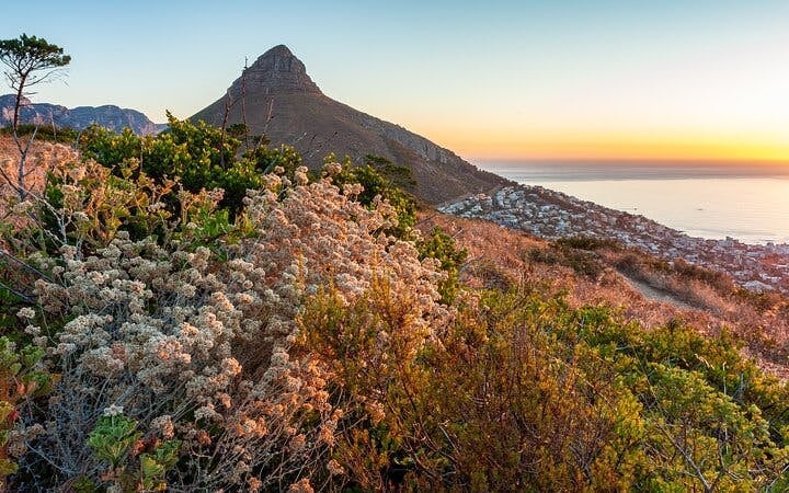 Cape Town Private Lion's Head Sunrise or Sunset Guided Hike with Hotel Transfers Image 7