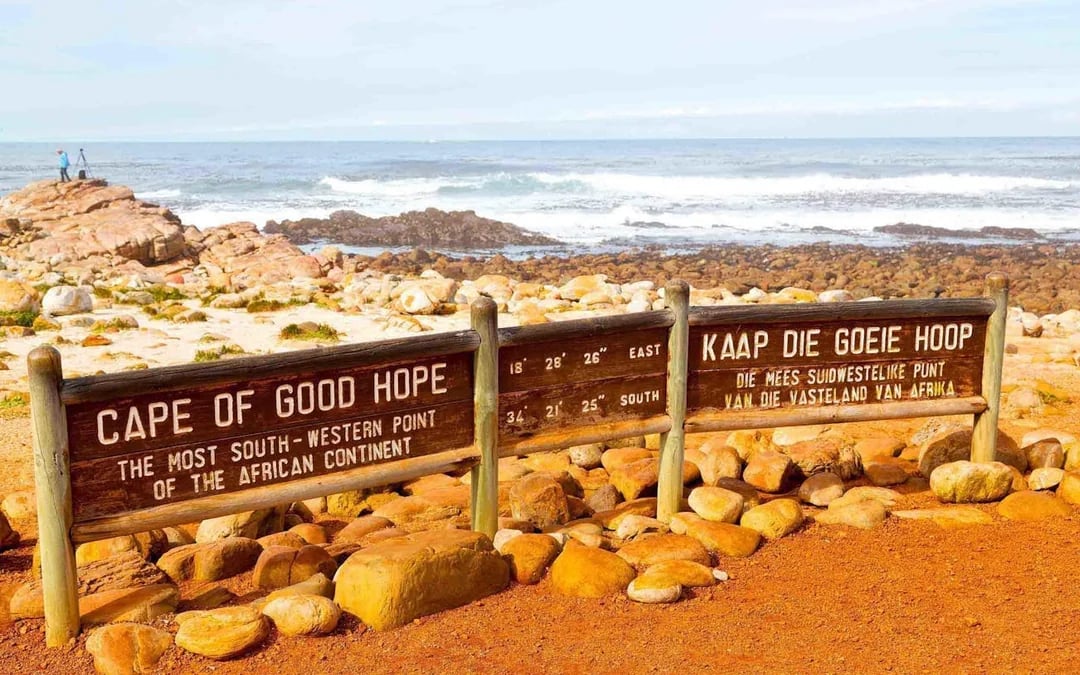 Cape Town Private Tour: Boulders Beach Penguin Swim and Chapman’s Peak Drive Image 3