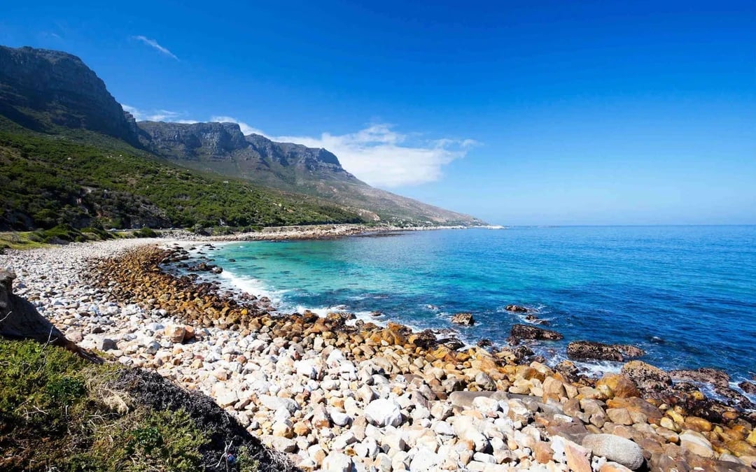 Cape Town Private Tour: Boulders Beach Penguin Swim and Chapman’s Peak Drive Image 4