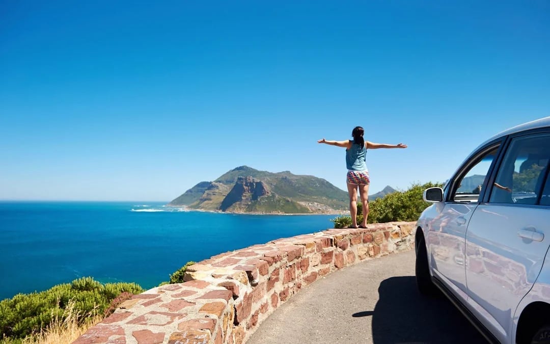 Cape Town Private Tour: Boulders Beach Penguin Swim and Chapman’s Peak Drive Image 7
