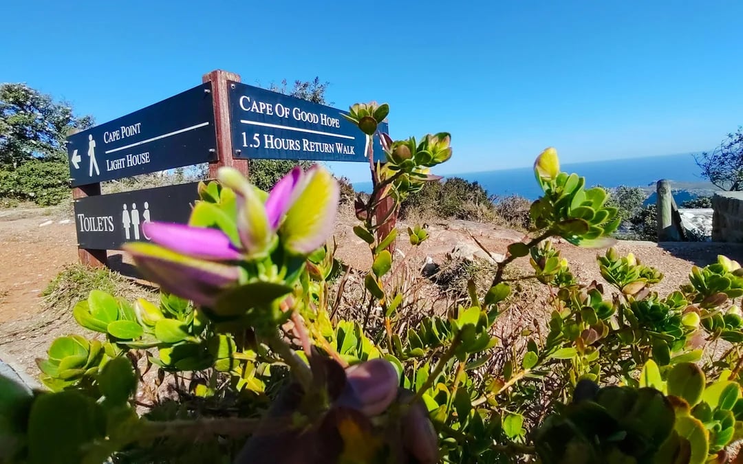 Cape Town Private Tour of Table Mountain, Cape of Good Hope and Boulders Beach Penguin Colony Image 1