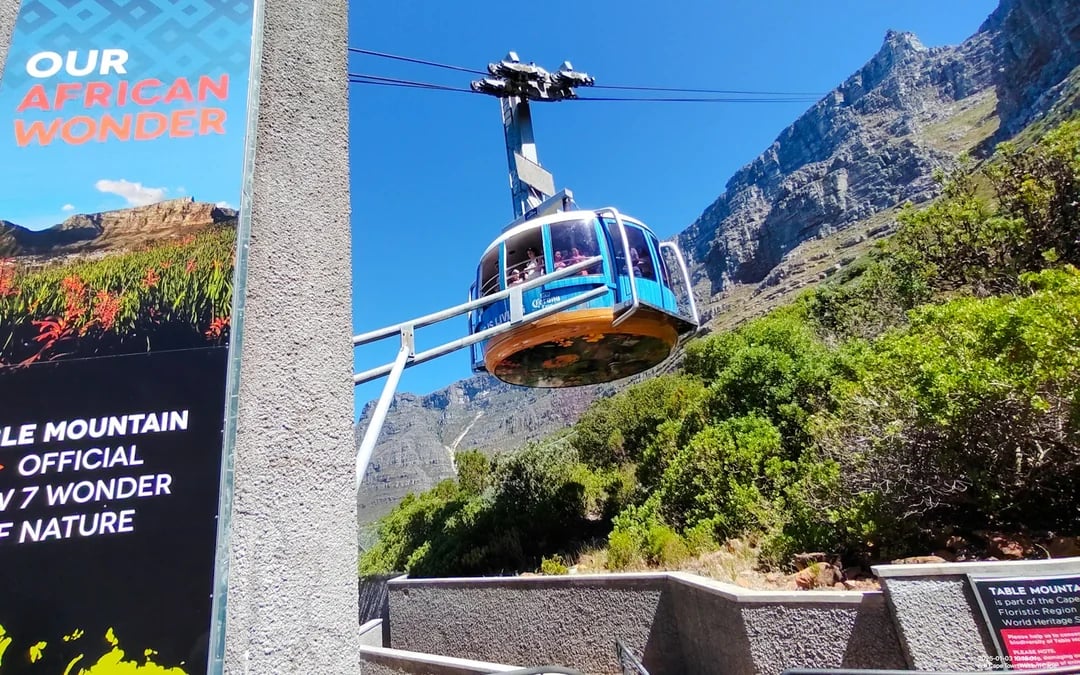 Cape Town Private Tour of Table Mountain, Cape of Good Hope and Boulders Beach Penguin Colony Image 6