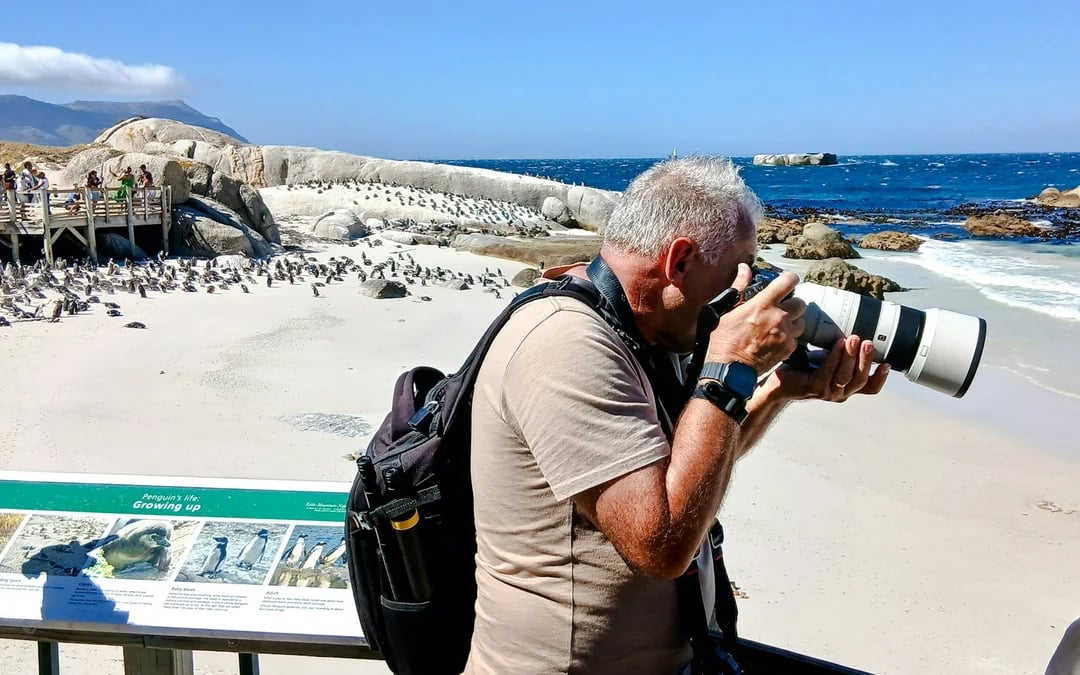 Cape Town Private Tour of Table Mountain, Cape of Good Hope and Boulders Beach Penguin Colony Image 7