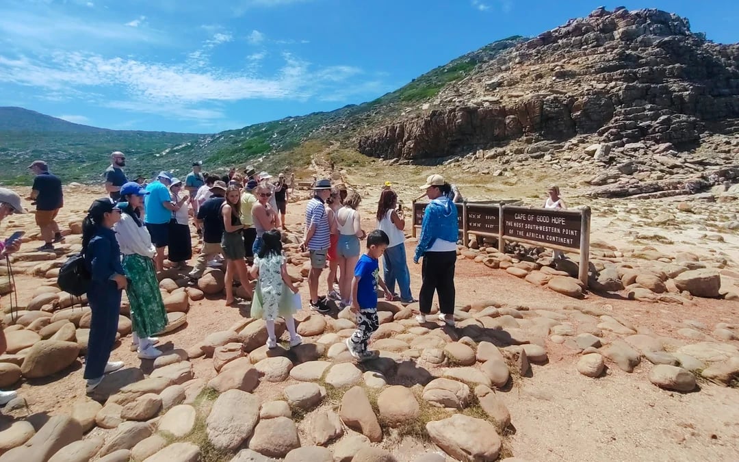 Cape Town Private Tour of Table Mountain, Cape of Good Hope and Boulders Beach Penguin Colony Image 8