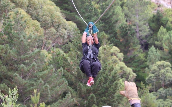 Cape Town Private Ziplining Tour in Constantia Winelands with Scenic Drives and Penguin Viewing Image 2