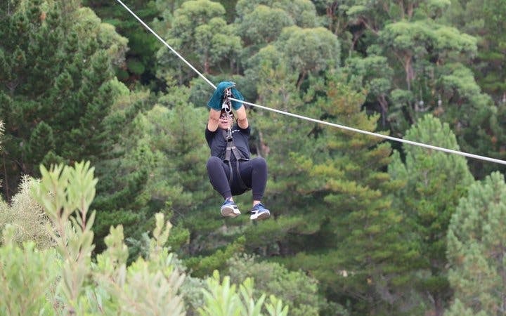 Cape Town Private Ziplining Tour in Constantia Winelands with Scenic Drives and Penguin Viewing Image 5