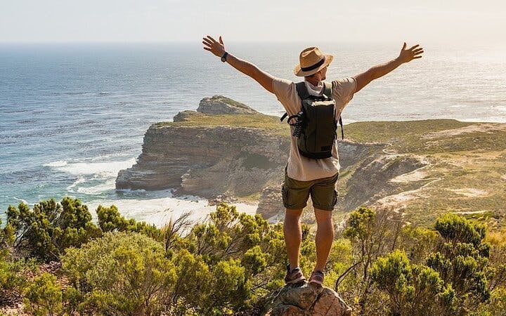 Cape Town Private Ziplining Tour in Constantia Winelands with Scenic Drives and Penguin Viewing Image 10