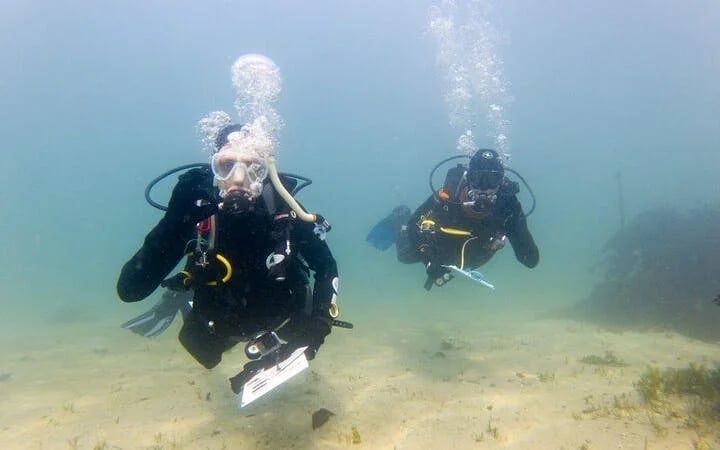 Cape Town Seal Snorkelling, Penguin Colony and Cape of Good Hope Private Tour Image 5