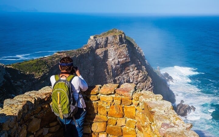 Cape Town Table Mountain, Cape of Good Hope & Boulders Penguin Colony Private Tour Image 3