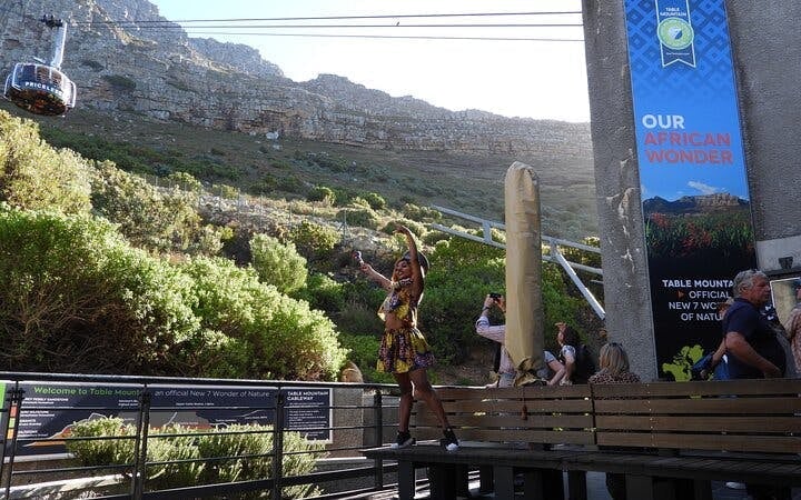 Cape Town Table Mountain, Cape of Good Hope & Boulders Penguin Colony Private Tour Image 8