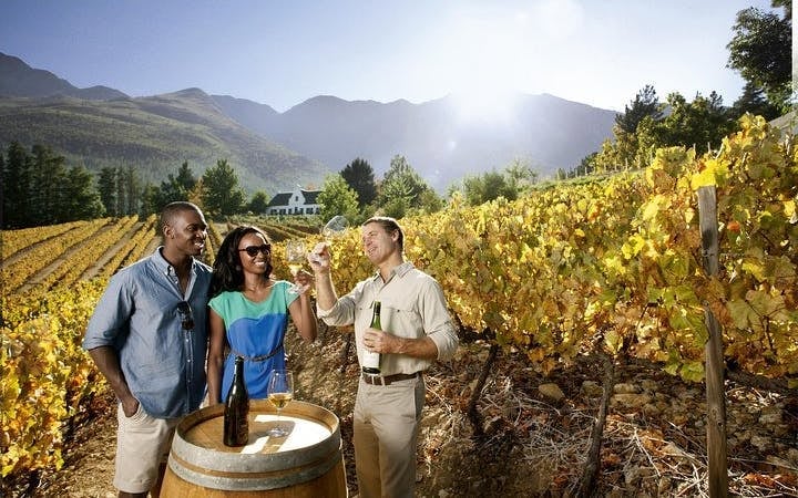 Cape Town: Table Mountain, Kirstenbosch & Groot Constantia Private Tour Image 5