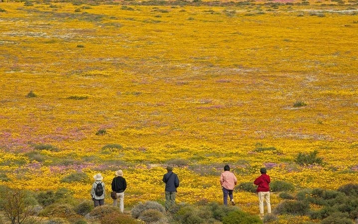 Cape West Coast Private Guided Tour from Cape Town Image 1