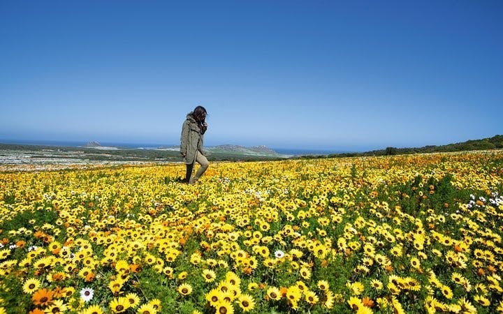 Cape West Coast Private Guided Tour from Cape Town Image 5
