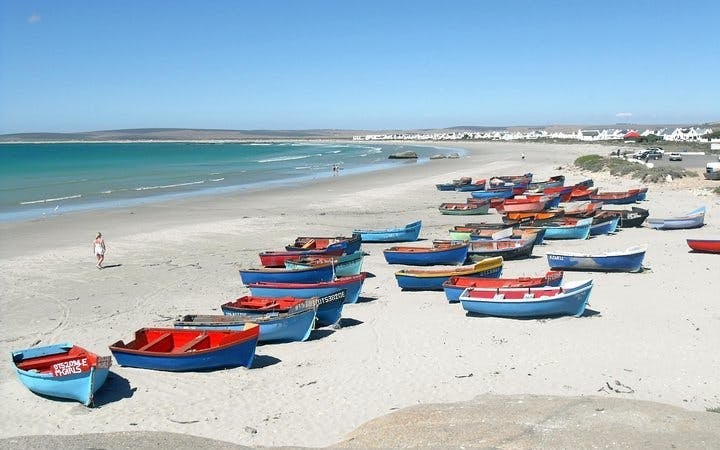 Cape West Coast Private Guided Tour from Cape Town Image 7