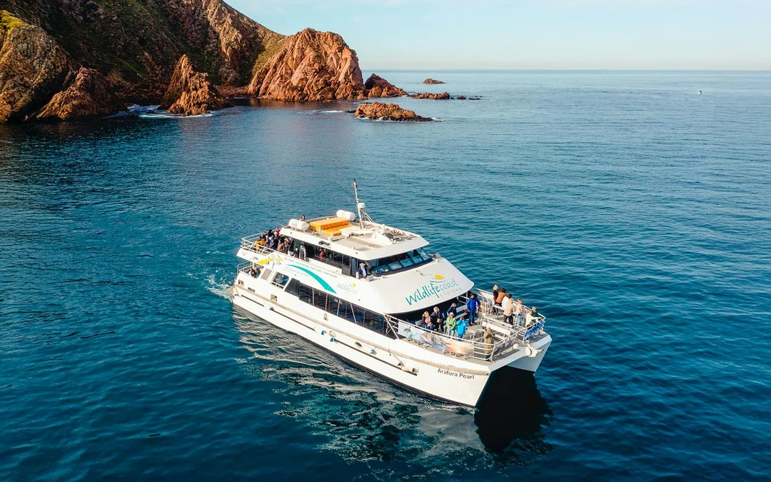 Cape Woolamai Morning Cruise at Phillip Island Image 1