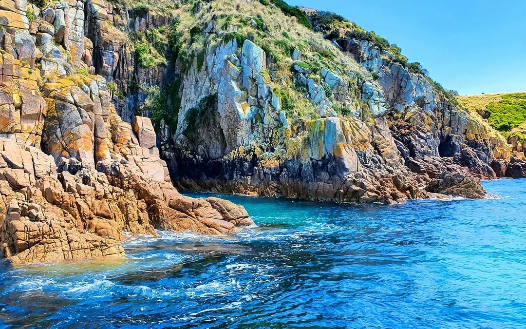 Cape Woolamai Morning Cruise at Phillip Island Image 12