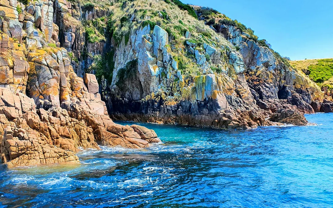 Cape Woolamai Morning Cruise at Phillip Island Image 12