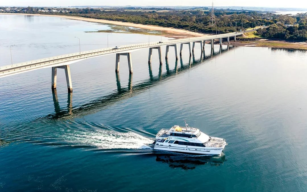 Cape Woolamai Morning Cruise at Phillip Island Image 5