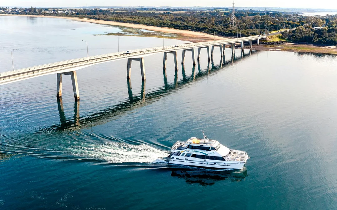 Cape Woolamai Morning Cruise at Phillip Island Image 5