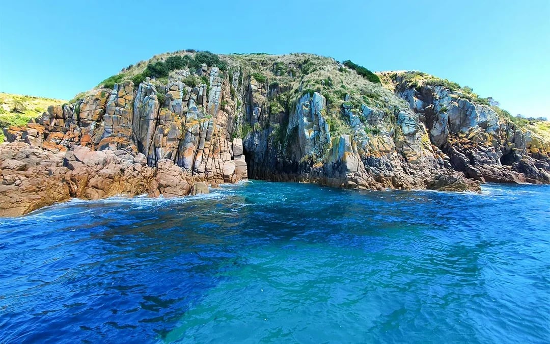 Cape Woolamai Morning Cruise at Phillip Island Image 10