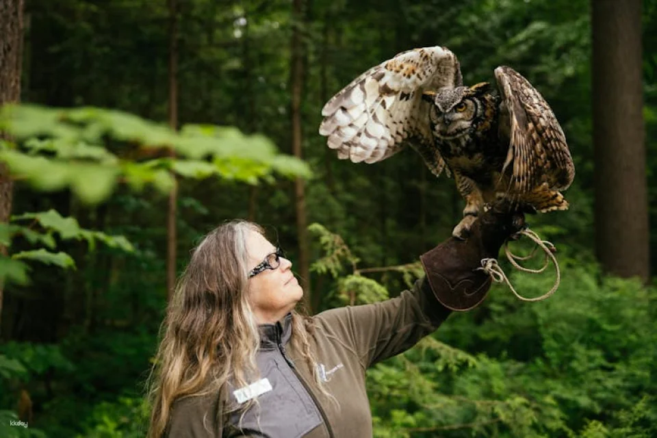 Capilano Suspension Bridge Park tickets