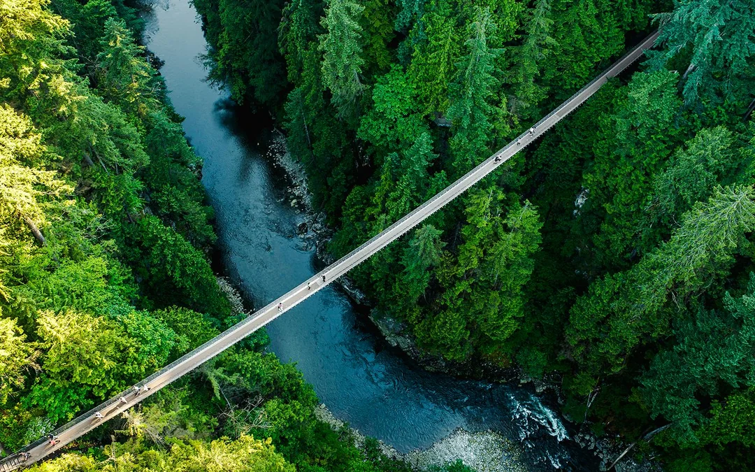 Capilano Suspension Bridge Park Tickets Image 2