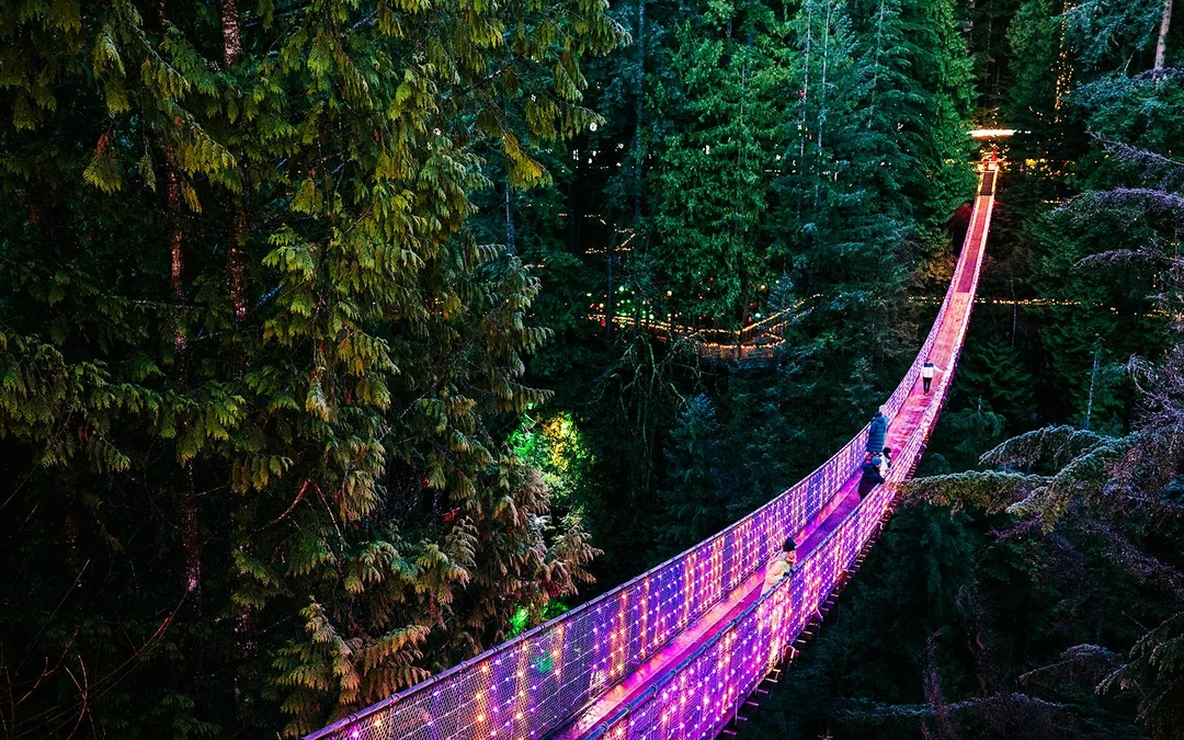 Capilano Suspension Bridge Park Tickets Image 12