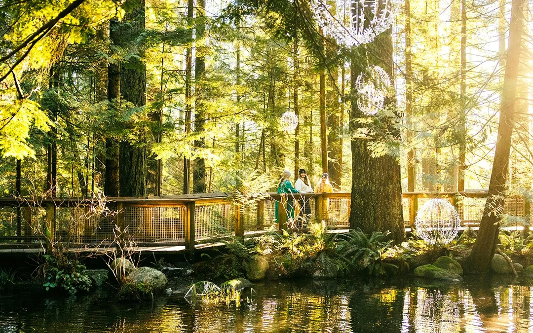 Capilano Suspension Bridge Park Tickets Image 3