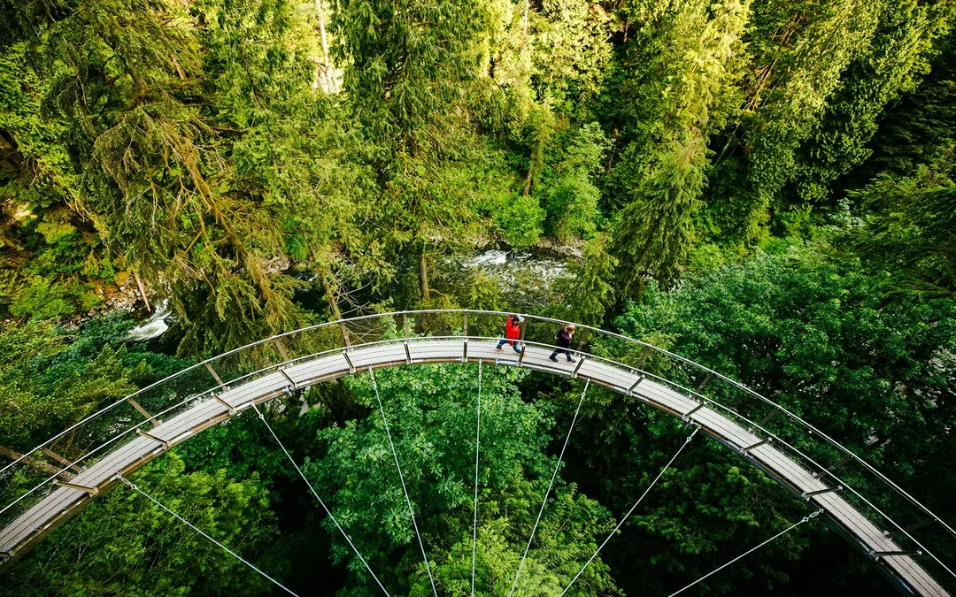 Capilano Suspension Bridge Park Tickets Image 4