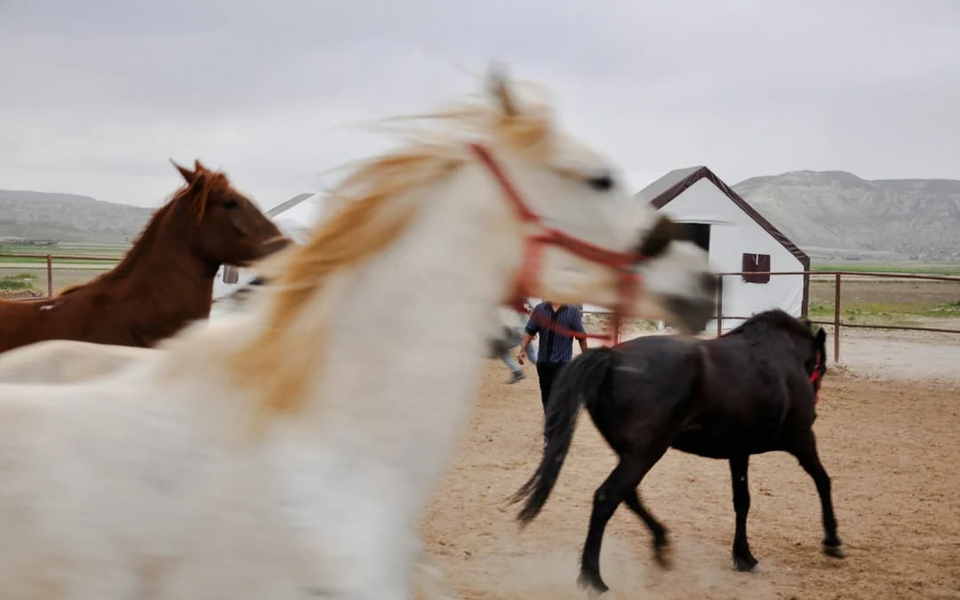 Cappadocia Horseback Riding and ATV Combo Tour Image 1