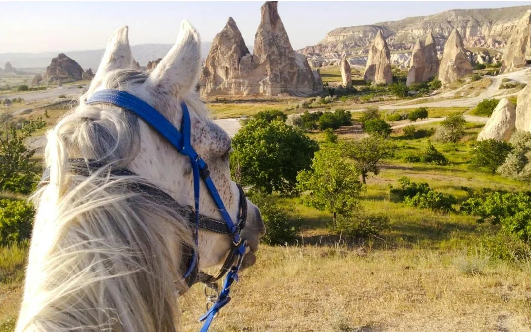 Cappadocia Sunrise Balloon Watching & Horse Riding Tour  Image 6
