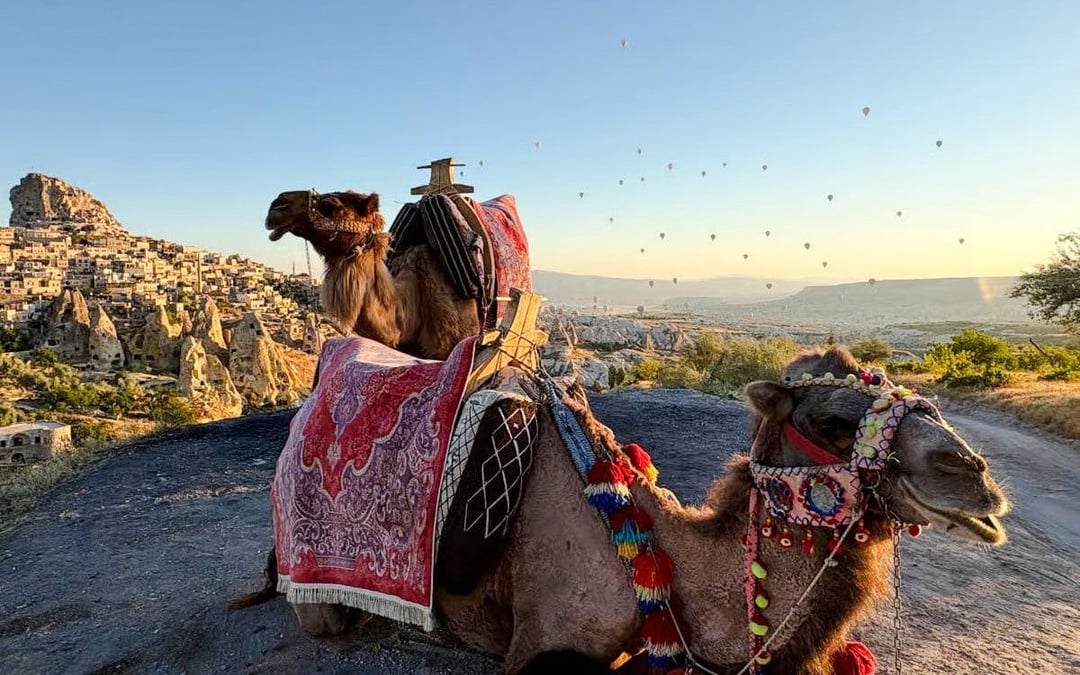 Cappadocia Sunrise Camel Safari Image 6