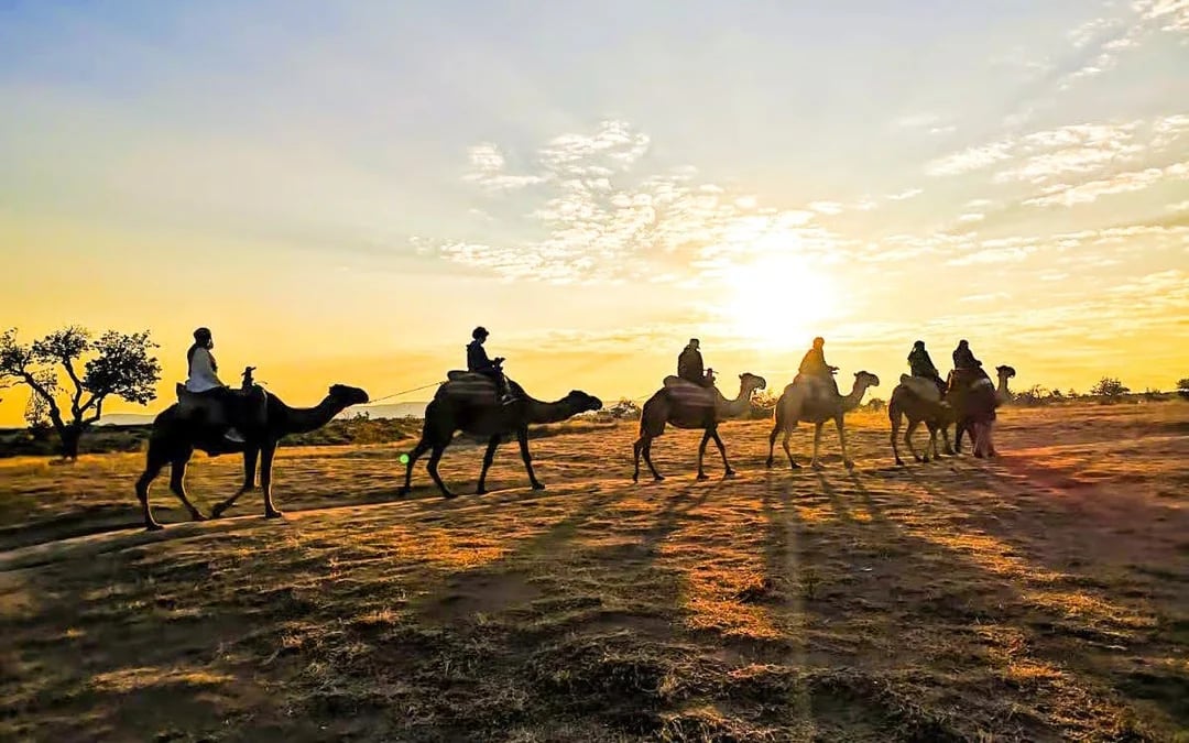 Cappadocia Sunrise Camel Safari Image 7