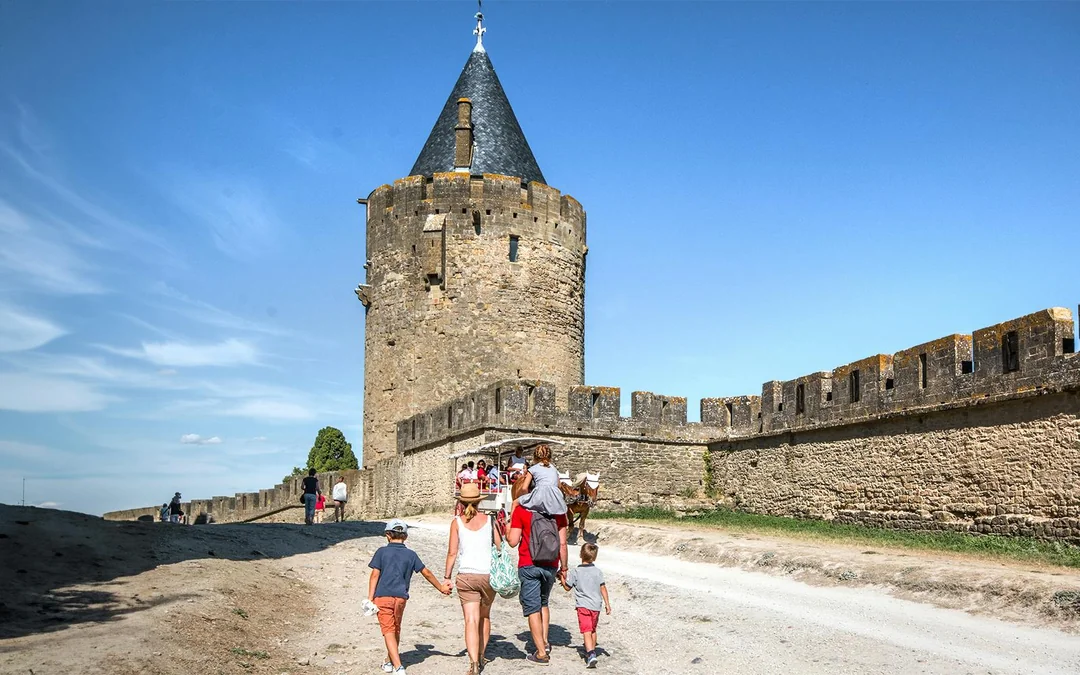 Carcassonne Small Group Half-day tour from Toulouse Image 1