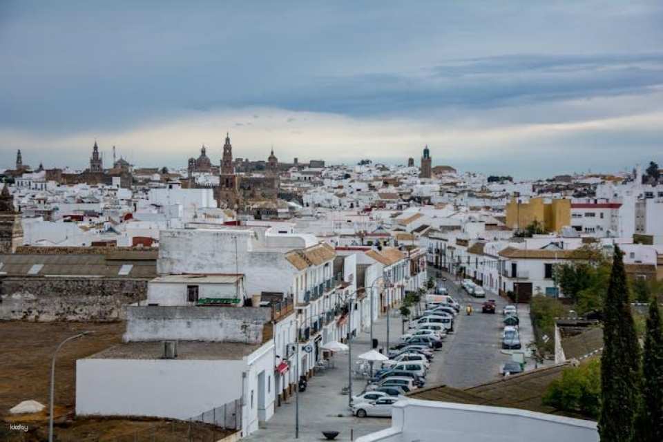 Carmona and Necropolis: guided day tour from Seville