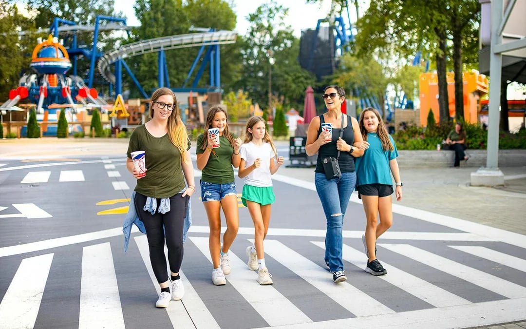 Carowinds One-Day Ticket Image 11