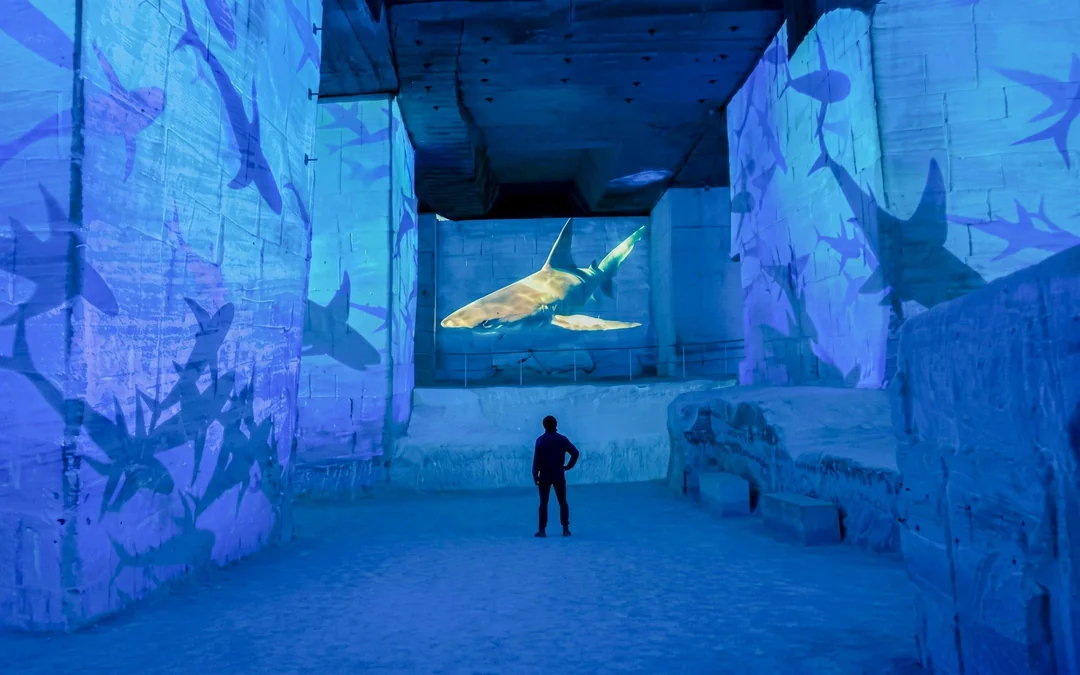 Carrières des Lumières Immersive Experience Tickets Image 2