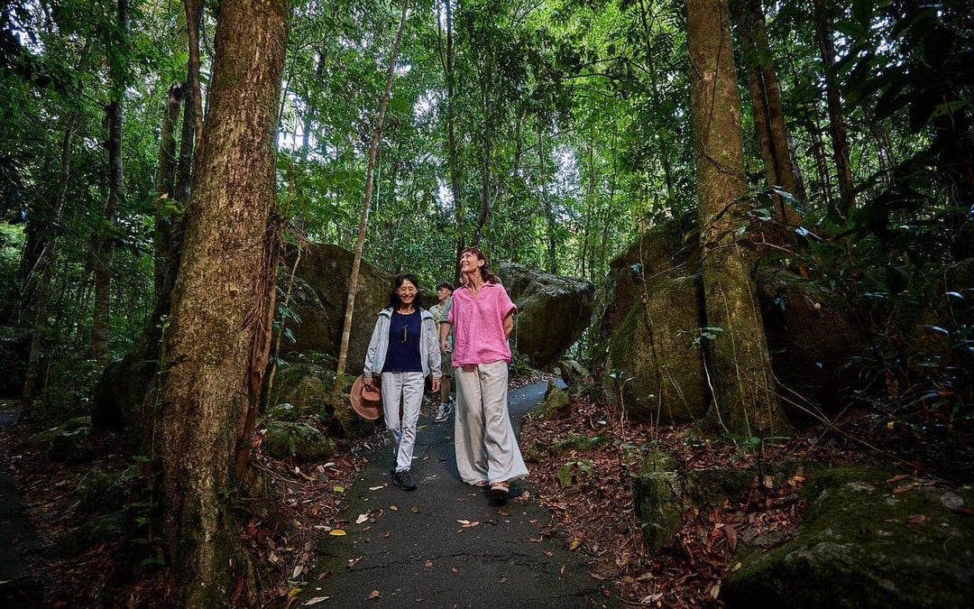 Cassowary Coast Goondoi Culture Experience Image 9
