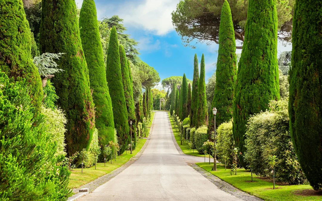 Castel Gandolfo Full Experience with Eco-Minibus Tour of Pontifical Gardens Image 3